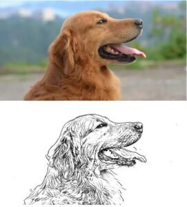 72- Stijl B - Realistische stijl